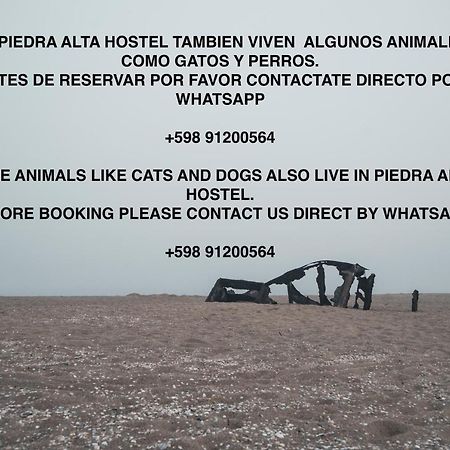 Piedra Alta Hostel & Suites ラ・ペドレラ エクステリア 写真