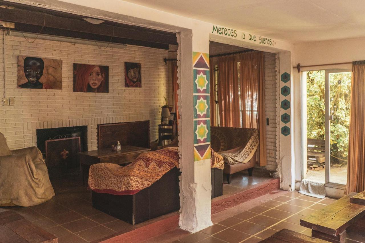 Piedra Alta Hostel & Suites ラ・ペドレラ エクステリア 写真