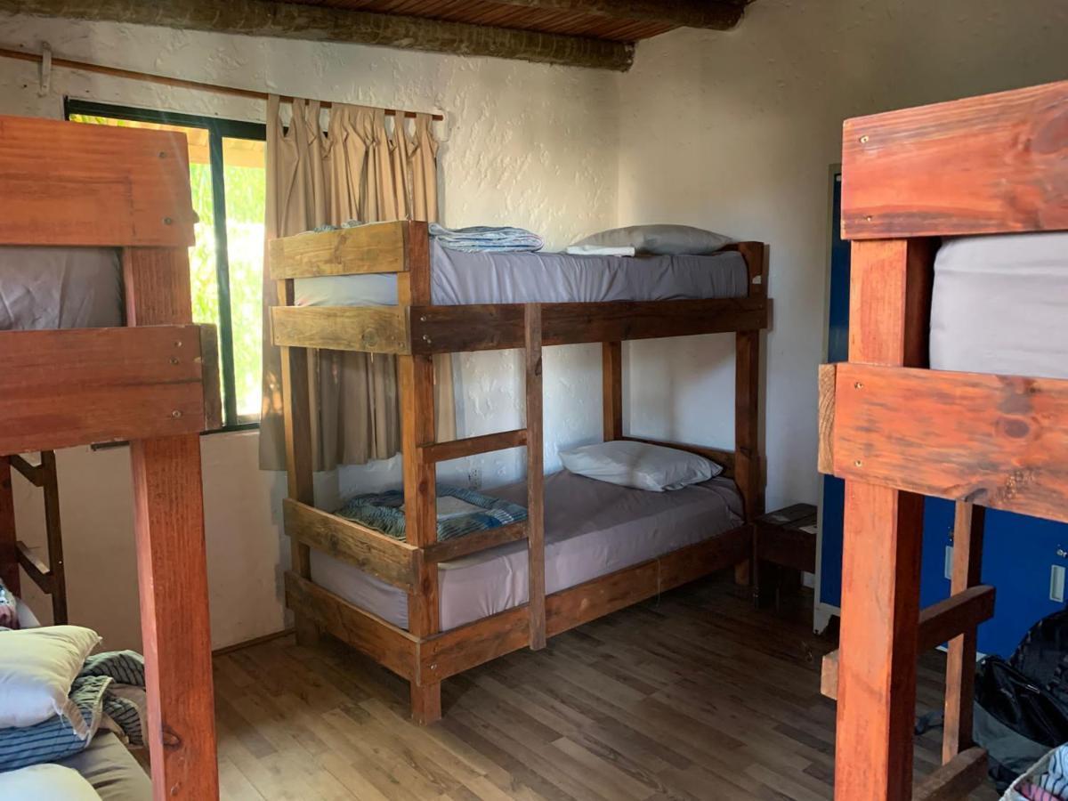 Piedra Alta Hostel & Suites ラ・ペドレラ エクステリア 写真