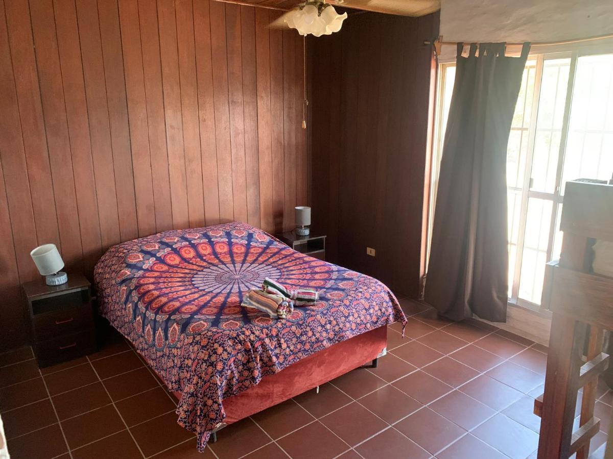Piedra Alta Hostel & Suites ラ・ペドレラ エクステリア 写真