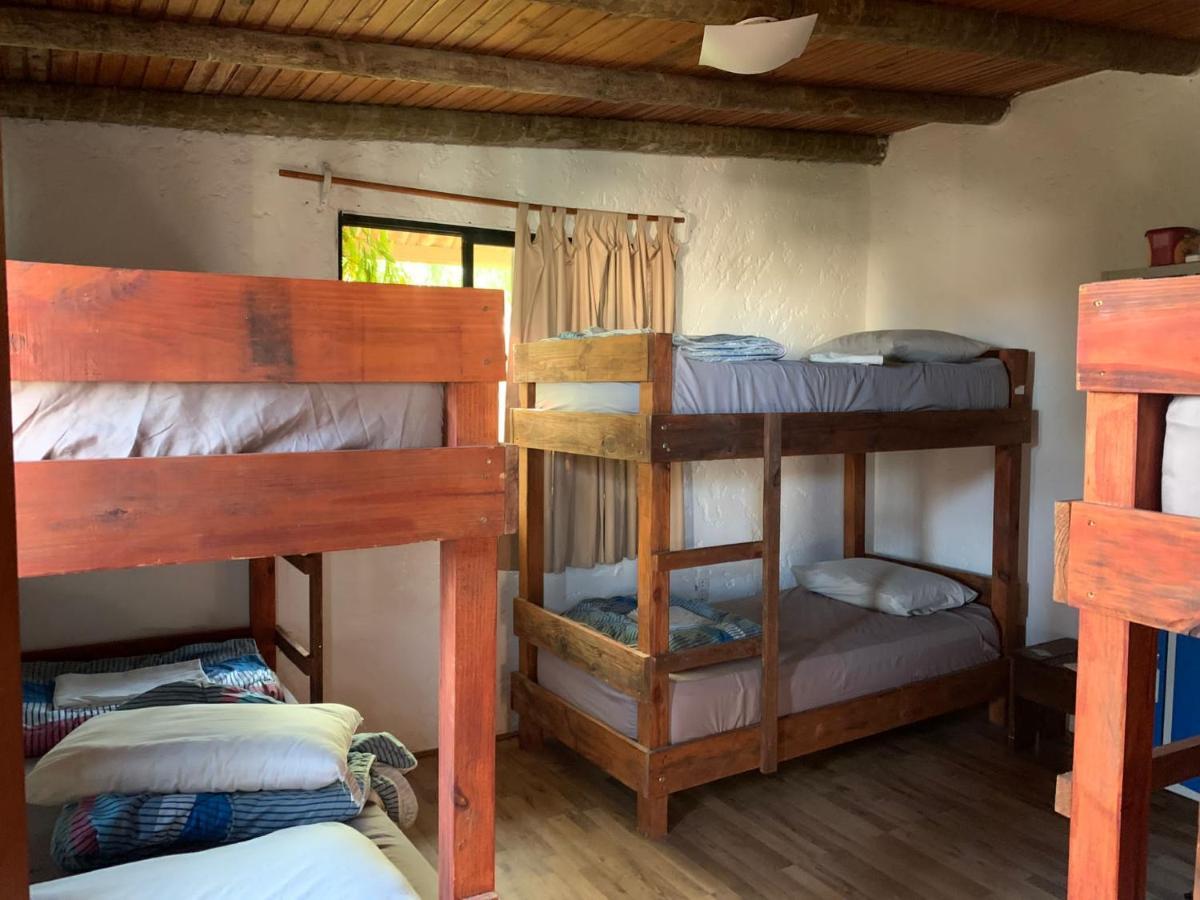 Piedra Alta Hostel & Suites ラ・ペドレラ エクステリア 写真